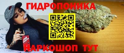 крисы Абинск