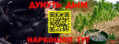 каннабис Абакан