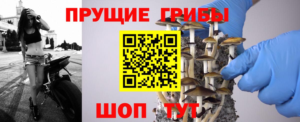 Псилоцибиновые грибы мухоморы  наркотики  Галлюциногенные грибы Magic Shrooms  Котельники 